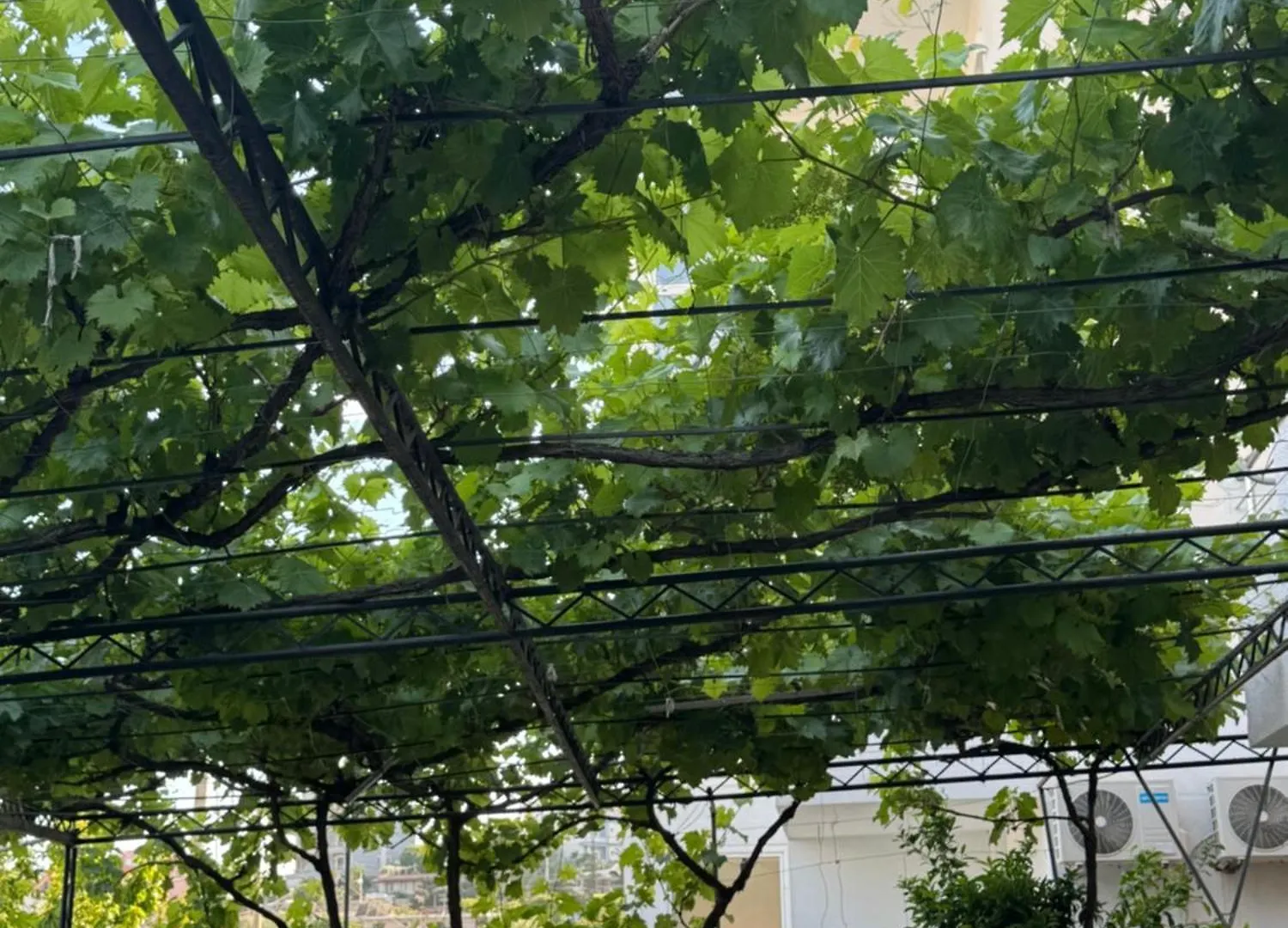 Villa Noah Εξαμίλιο 0*,  Αλβανία